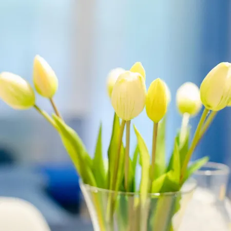 Happy 302 Bluemare Basen Epapartamenty