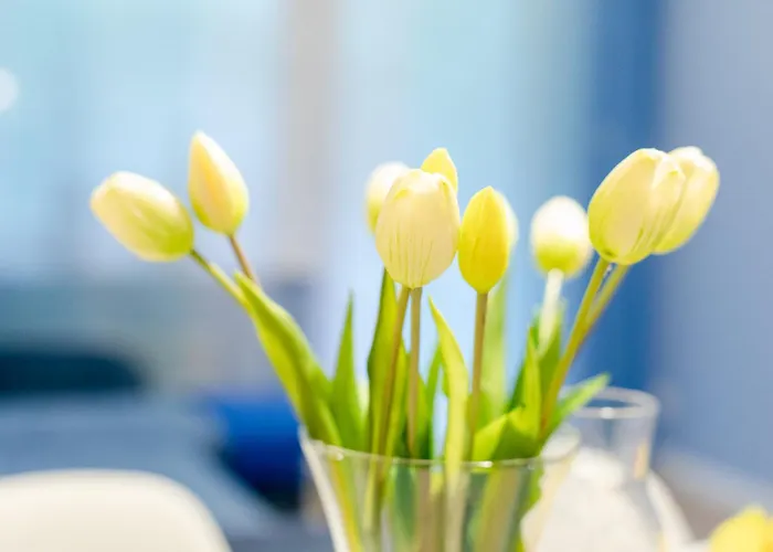 Happy 302 Bluemare Basen Epapartamenty