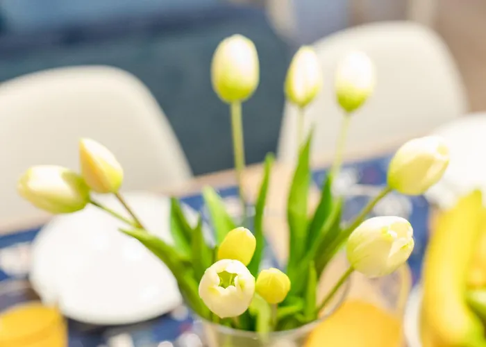 Happy 302 Bluemare Basen Epapartamenty Appartement